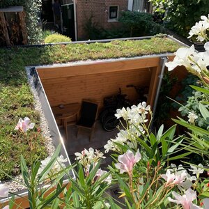 Jamo Tuinbedrijf image 1