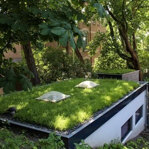 Re-green Projects image 2