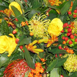 Uitvaartverzorging Uitendaal image 6