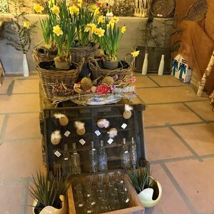 Mother Nature image 2