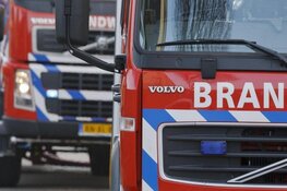 Katten gered uit brandende woning door brandweer in Leiderdorp