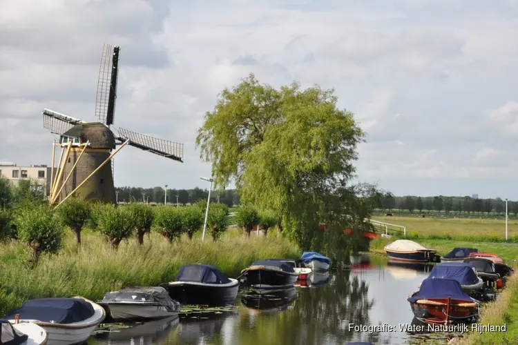Water Natuurlijk Rijnland organiseert cursus over water en waterbeheer