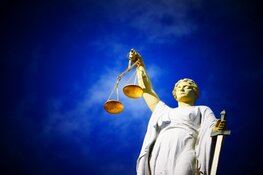 Verdelers gestolen cocaïne voor de rechter