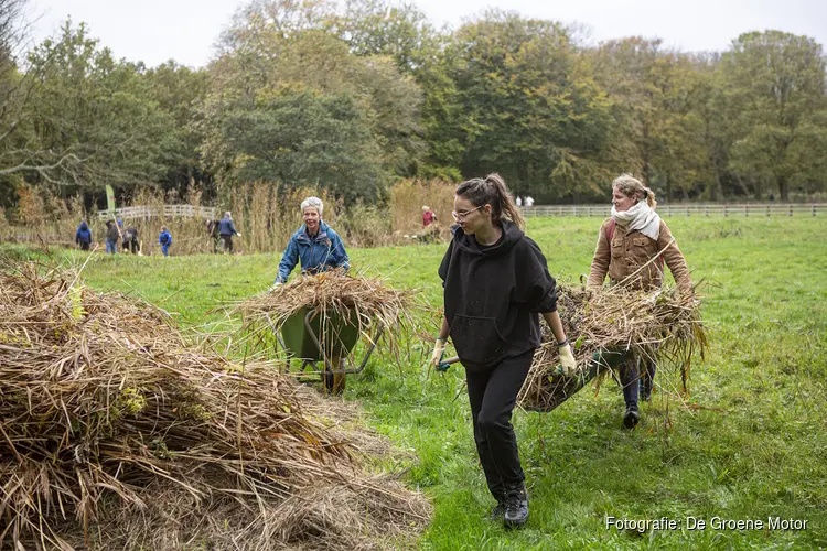 Natuurwerkdag zaterdag 7 november op Landgoed Nieuw Leeuwenhorst: samen werken aan natuur en erfgoed