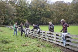 Natuurwerkdag zaterdag 7 november op Landgoed Nieuw Leeuwenhorst: samen werken aan natuur en erfgoed